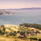 Tour20520827608 Avatar