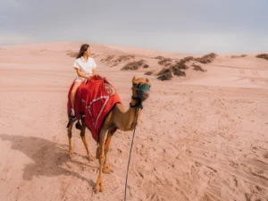 Dune Safari Camel Ride
