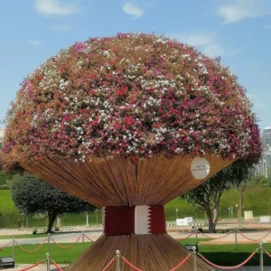 Largest Natural Flower Bouquet - Katara Cultural Village