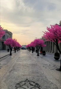 Cherry Blossoms Walkway in Katara Cultural Village