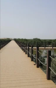 Purple Island Al Khor Qatar