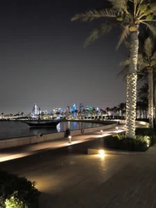 MIA Park at Night