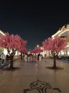 Cherry Blossoms Walkway in Katara Cultural Village